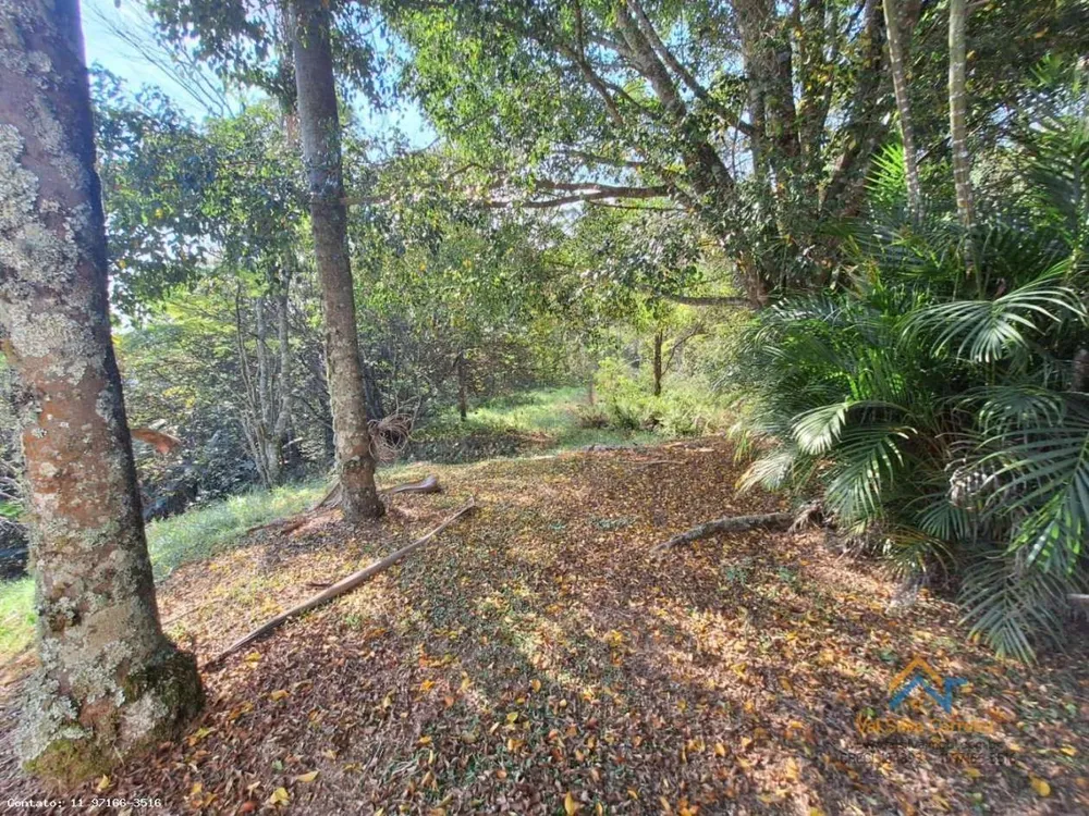 Sítio, 3 quartos, 8 hectares - Foto 12