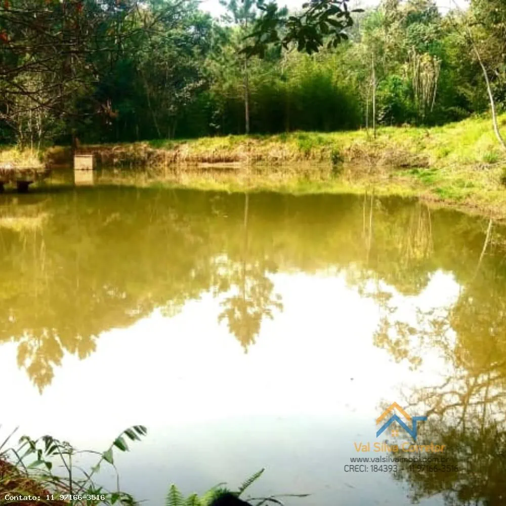 Sítio, 2 quartos, 14 hectares - Foto 6