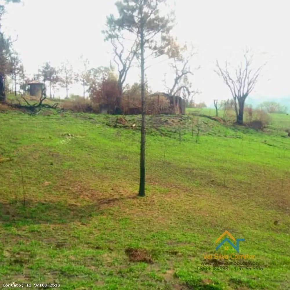 Sítio, 2 quartos, 14 hectares - Foto 7