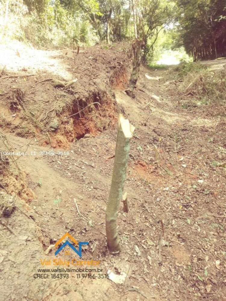 Terreno, 2550 m² - Foto 8