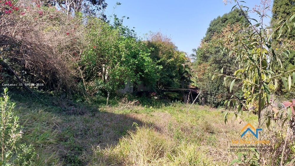 Sítio, 4 quartos, 3060 m² - Foto 6