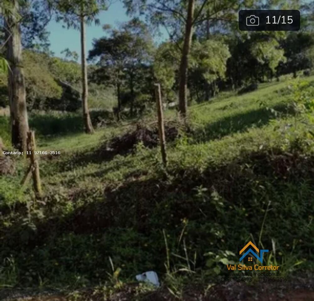 Terreno, 1 hectares - Foto 7