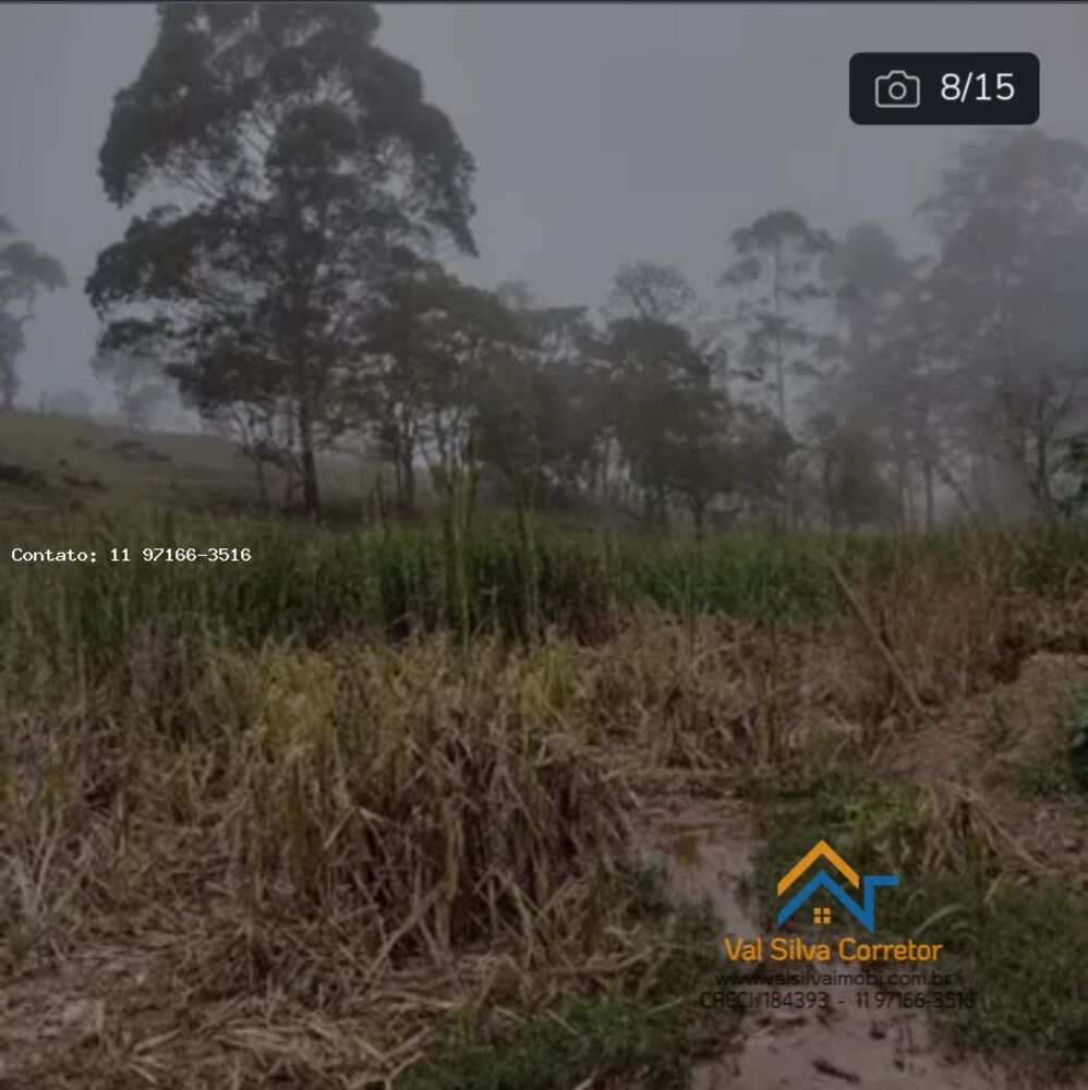 Terreno, 1 hectares - Foto 4