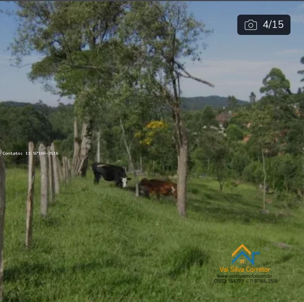 Terreno, 1 hectares - Foto 15