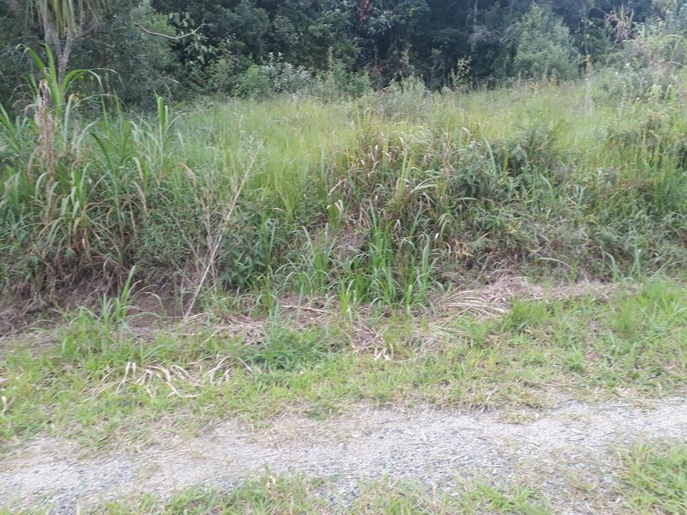 Terreno, 2552 m² - Foto 4