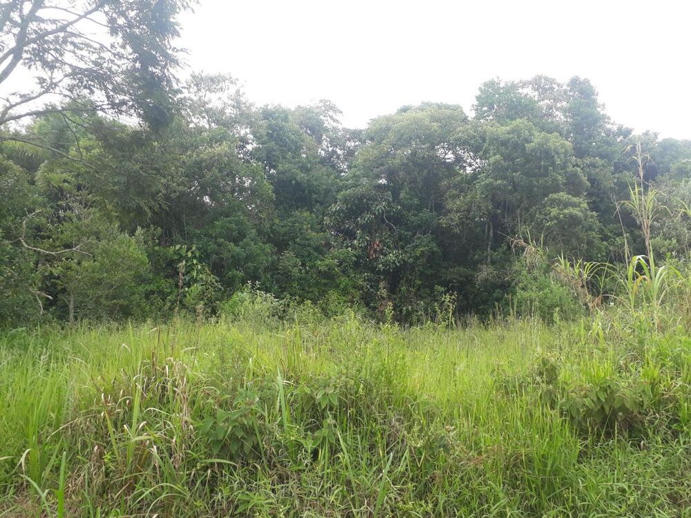 Terreno, 2552 m² - Foto 2