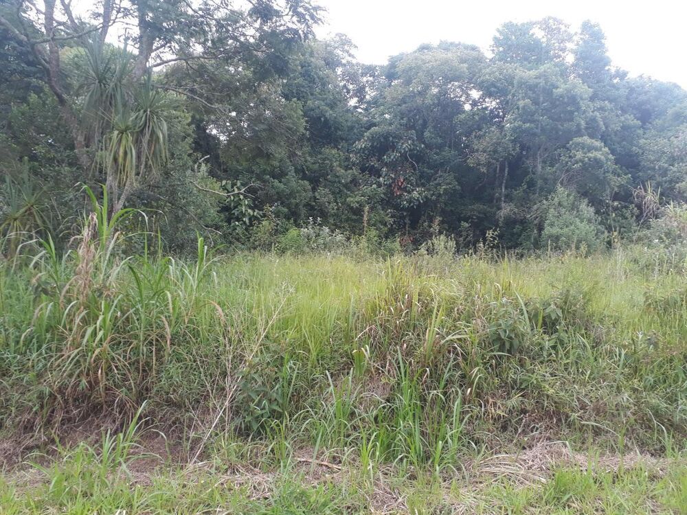 Terreno, 2552 m² - Foto 3