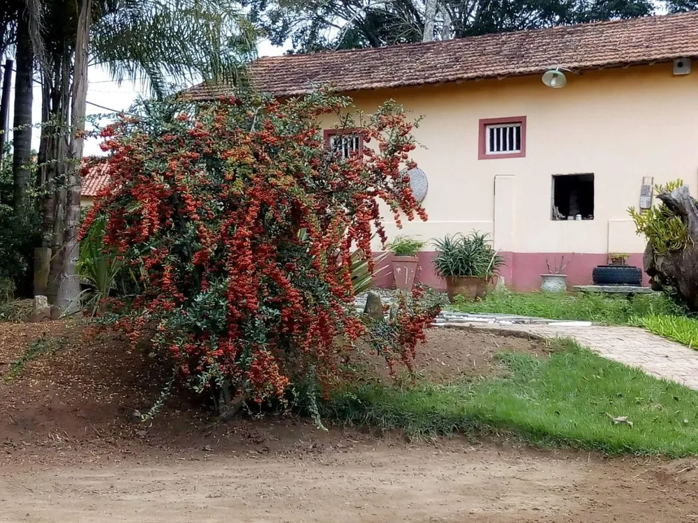 Chácara, 2 quartos, 1589 m² - Foto 2