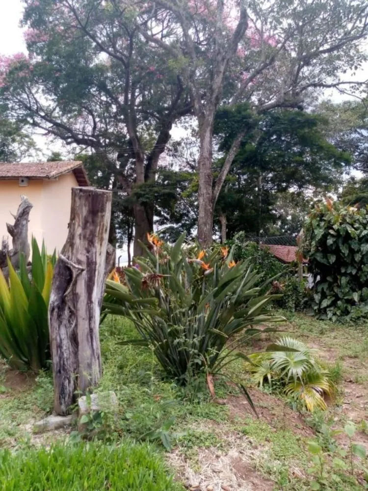 Chácara, 2 quartos, 1589 m² - Foto 5