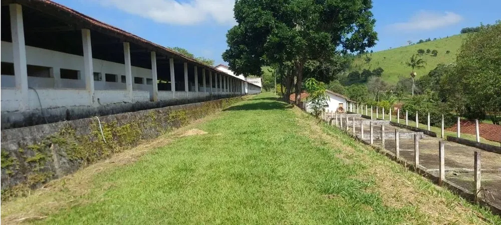 Fazenda, 30 hectares - Foto 7