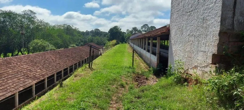 Fazenda, 30 hectares - Foto 3