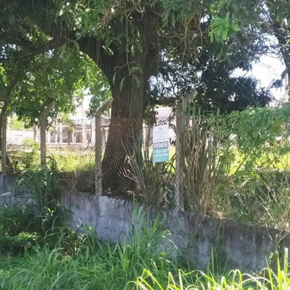 Casa - Foto 4