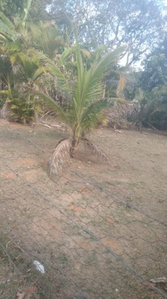 Terreno, 1000 m² - Foto 2