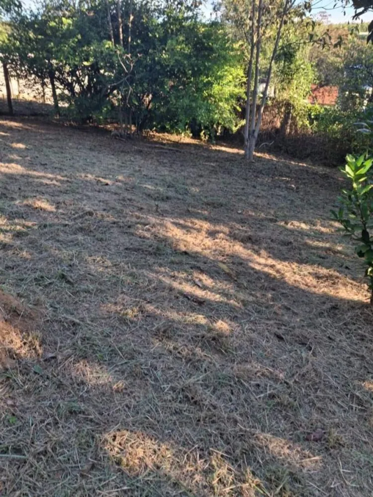 Terreno, 1000 m² - Foto 1