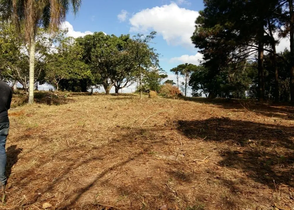 Terreno, 7200 m² - Foto 6