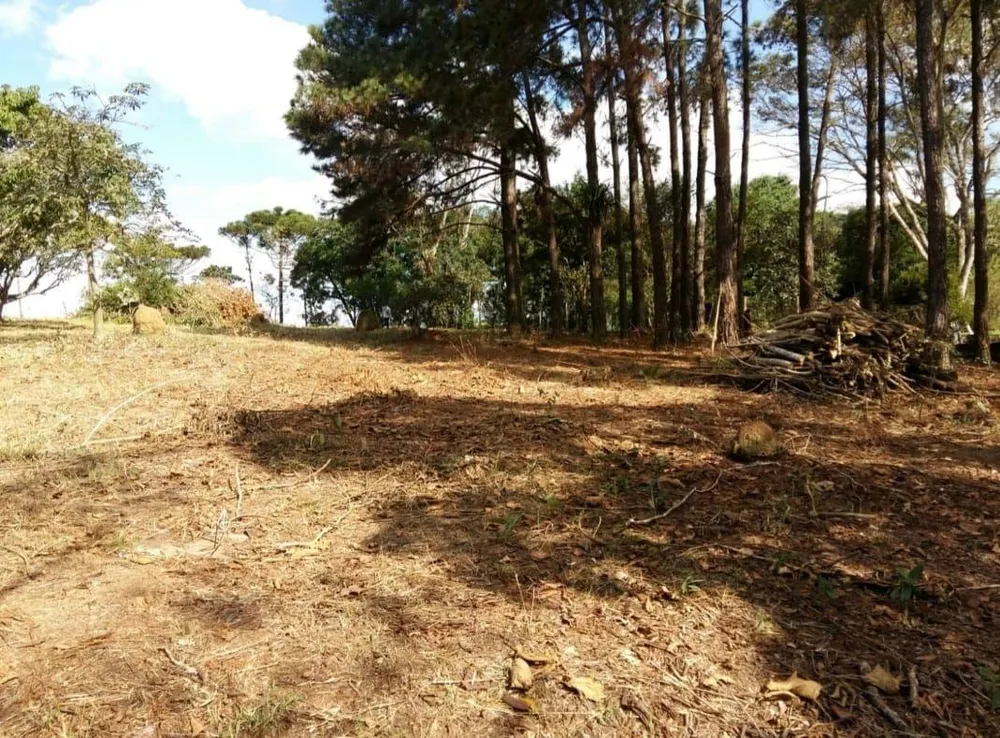 Terreno, 7200 m² - Foto 1