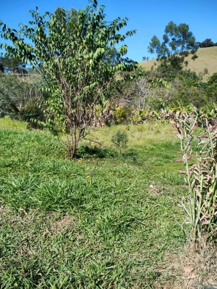 Chácara, 3 quartos, 3900 m² - Foto 4