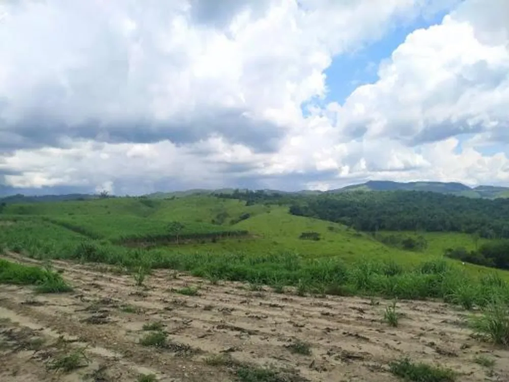Fazenda, 72 hectares - Foto 2