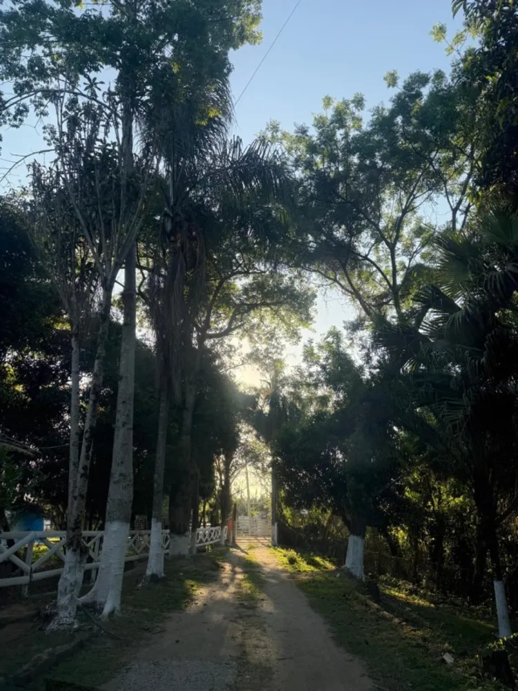 Chácara, 3 quartos, 1 hectares - Foto 6