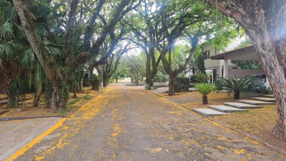 Casa, 5 quartos - Foto 6