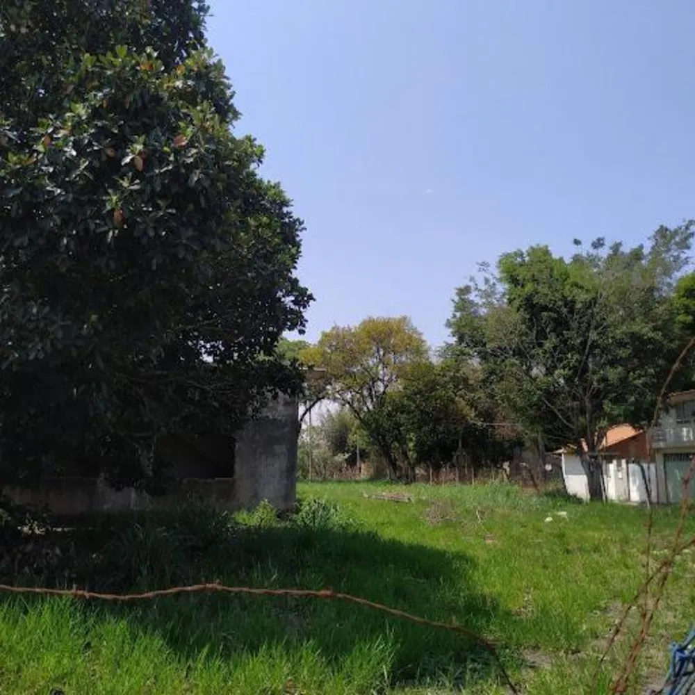 Casa - Foto 5