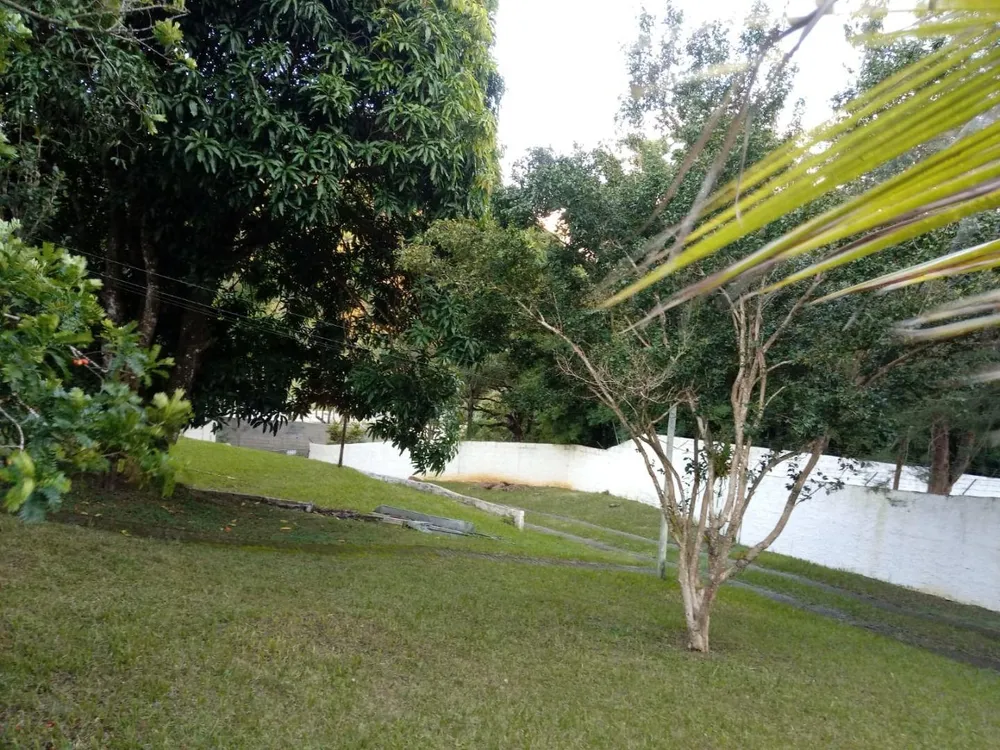 Sítio, 3 quartos, 6500 m² - Foto 1