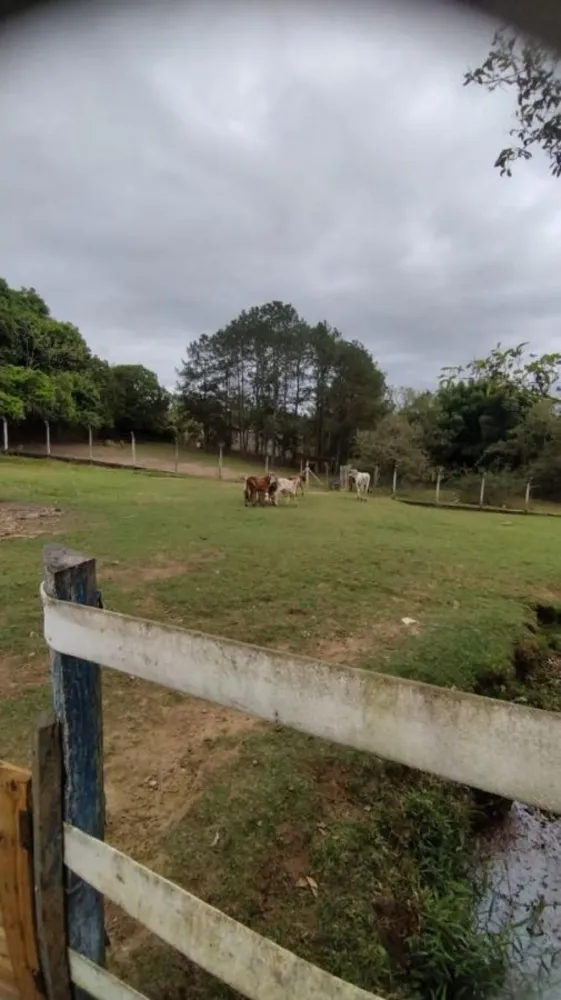 Chácara, 3 quartos, 3200 m² - Foto 4