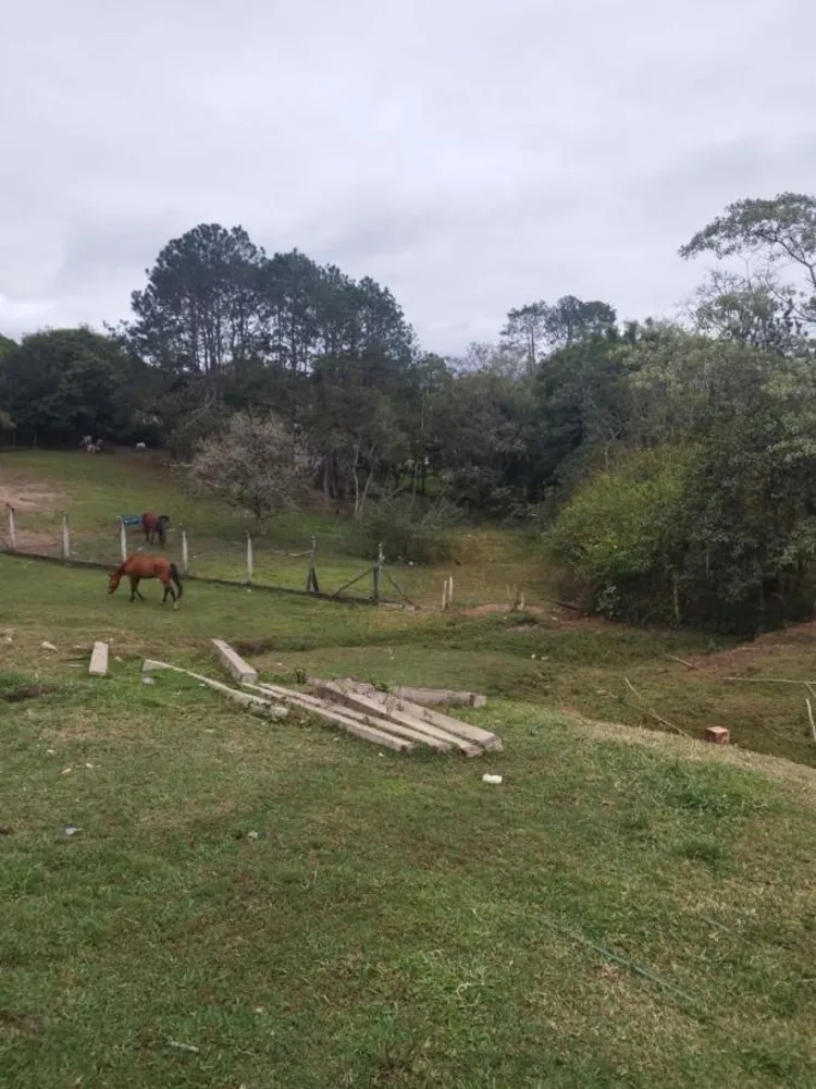 Chácara, 3 quartos, 3200 m² - Foto 7