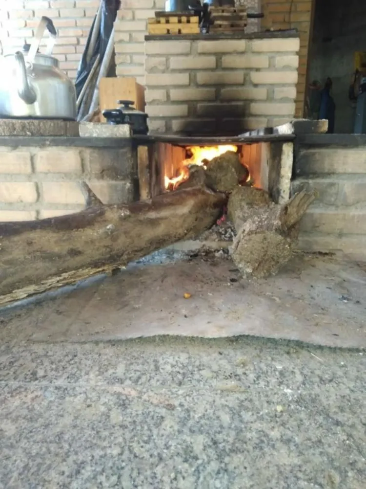 Chácara, 2 quartos, 3000 m² - Foto 3