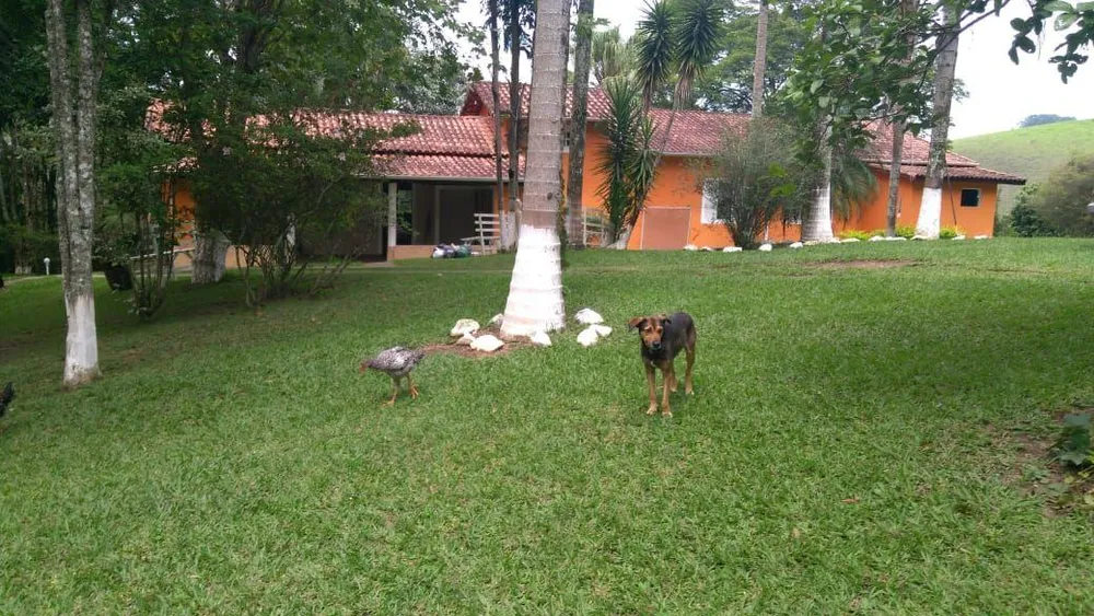 Casa, 3 quartos - Foto 6