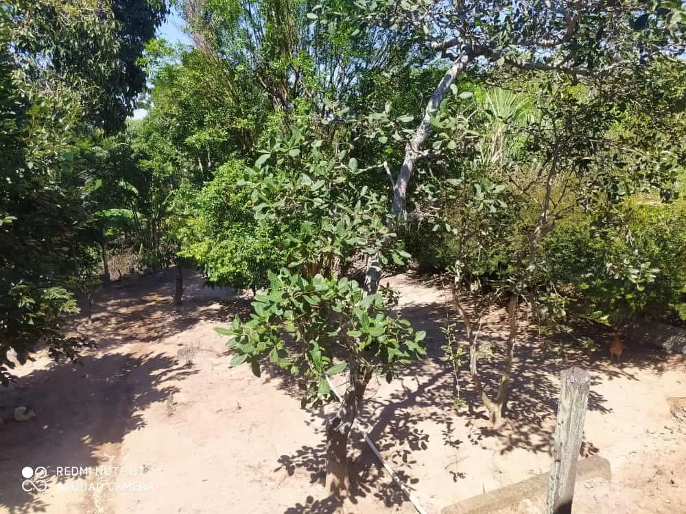 Chácara, 4 quartos, 1535 m² - Foto 11