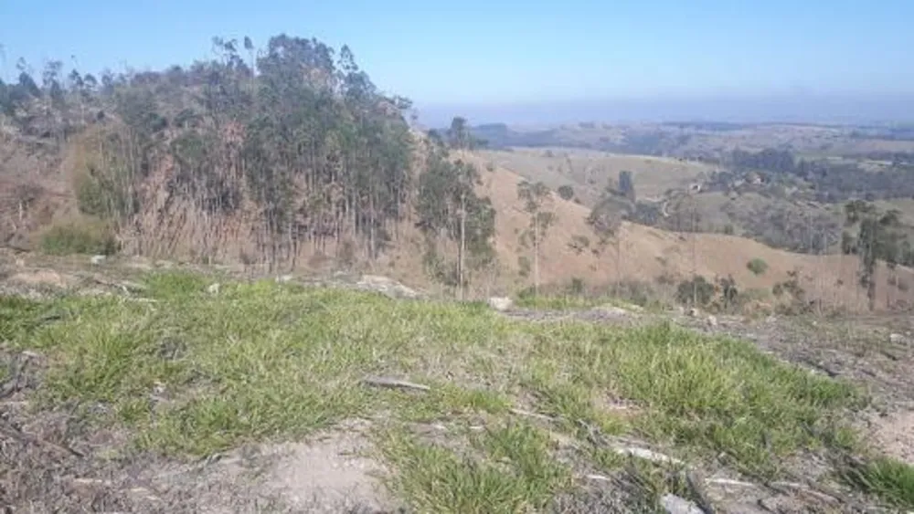 Casa - Foto 5