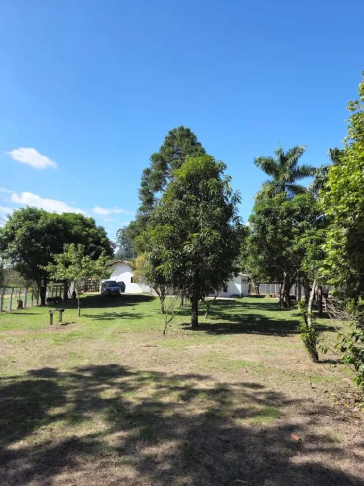 Chácara, 3 quartos, 4200 m² - Foto 1