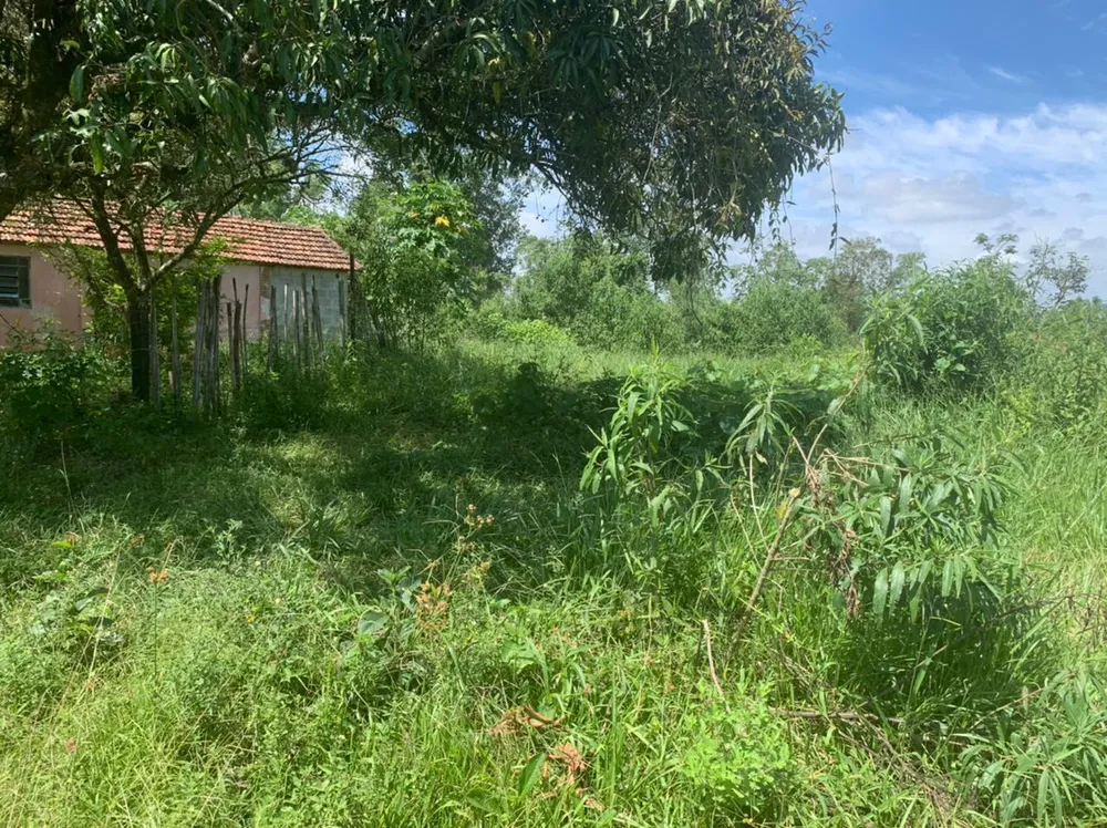 Casa - Foto 4