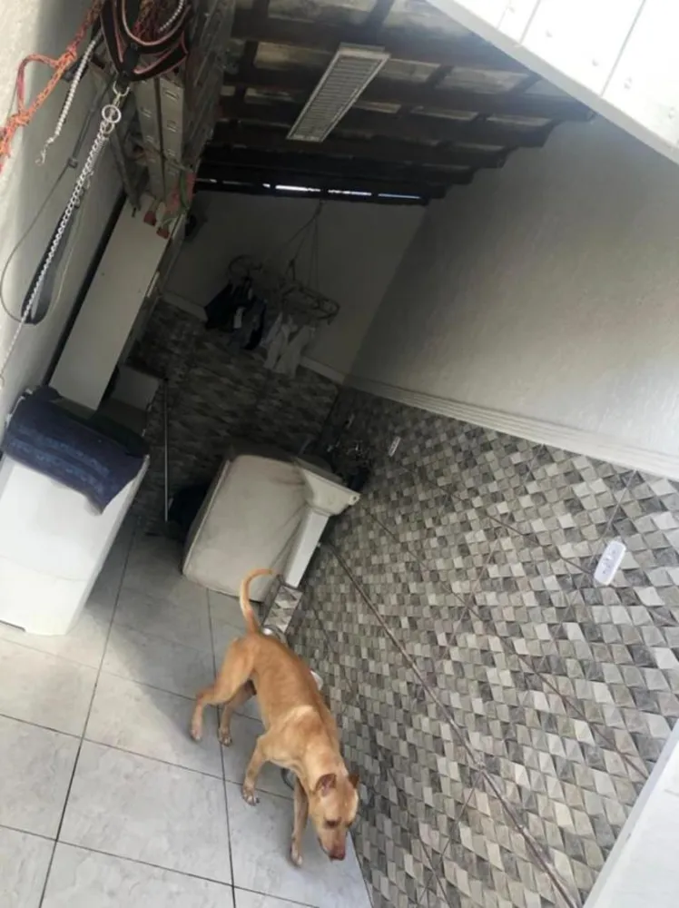 Sobrado, 3 quartos - Foto 5