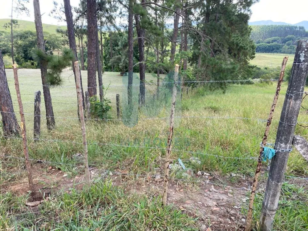 Terreno, 2563 m² - Foto 4