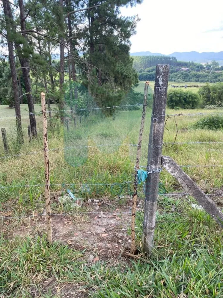 Terreno, 2563 m² - Foto 5