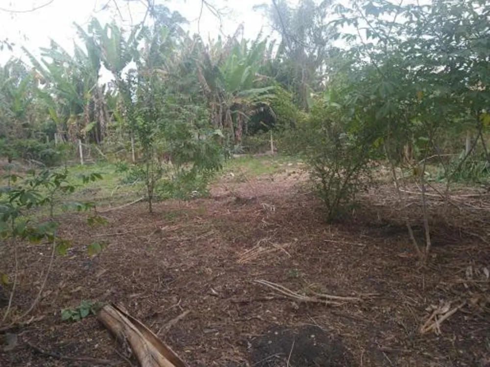 Chácara, 2 quartos, 1600 m² - Foto 3