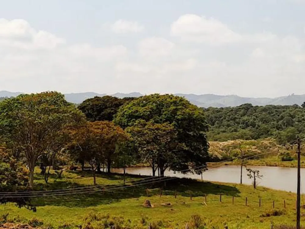 Terreno, 300 m² - Foto 3