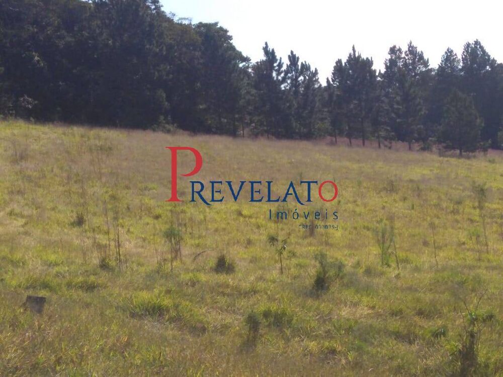 Sítio, 5 quartos, 22 hectares - Foto 1