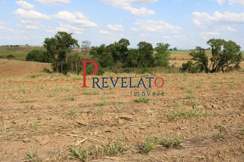 Terreno, 12 hectares - Foto 4