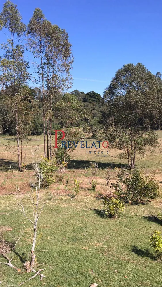 Sítio, 6 quartos, 22 hectares - Foto 4