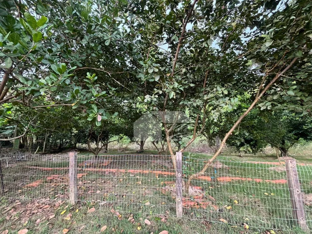 Chácara, 4 quartos, 3000 m² - Foto 11