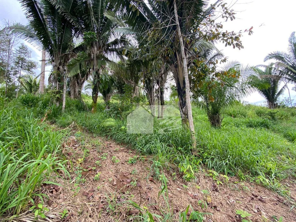 Terreno, 1 hectares - Foto 2