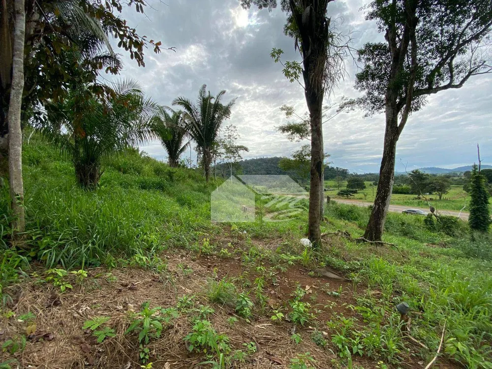 Terreno, 1 hectares - Foto 3