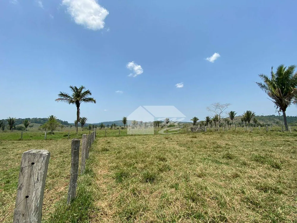 Fazenda, 242 hectares - Foto 6