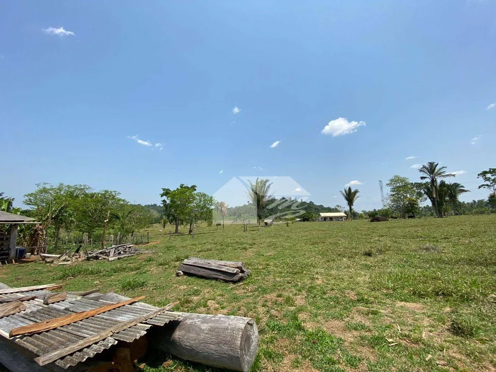 Fazenda, 242 hectares - Foto 4