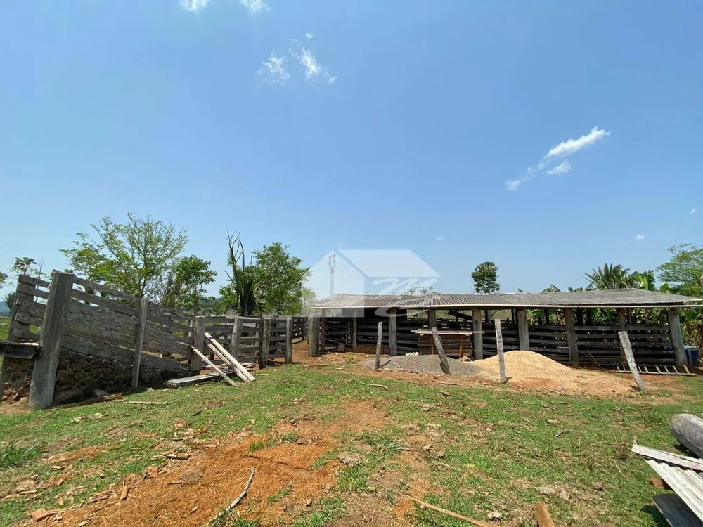 Fazenda, 242 hectares - Foto 1