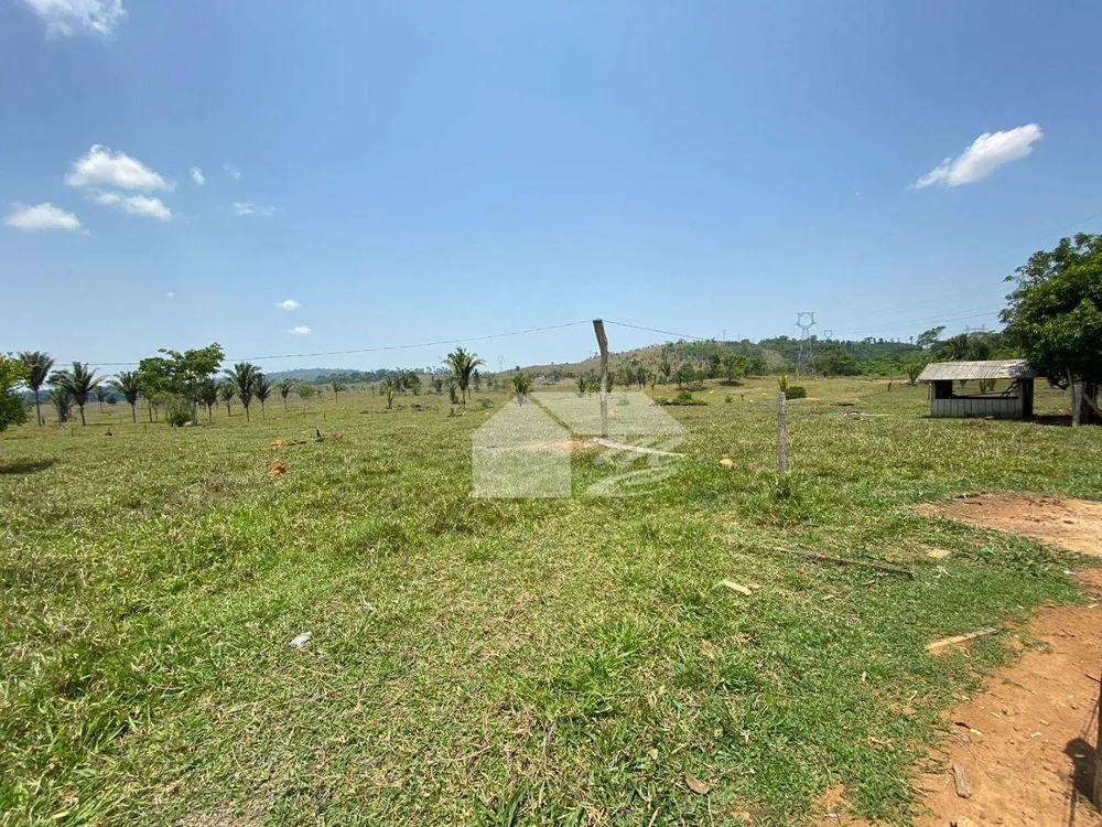 Fazenda, 242 hectares - Foto 12
