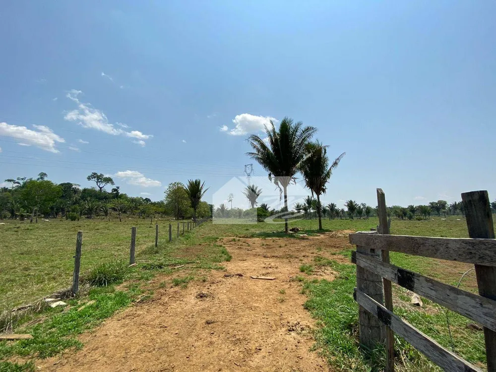 Fazenda, 242 hectares - Foto 7